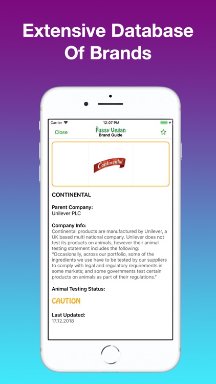 Fussy Vegan Brand Guide screenshot-3