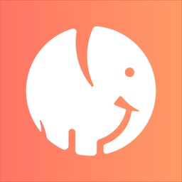 Elephant Social