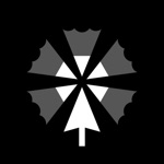 app-platform.online