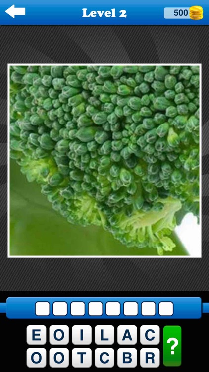 Guess the Close Up - Pics Quiz
