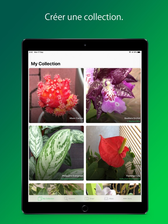 PlantSnap Pro: Identify Plants PlantSnap Pro: Identify Plants