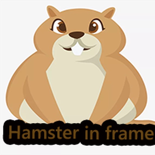 Hamsterintotheframe