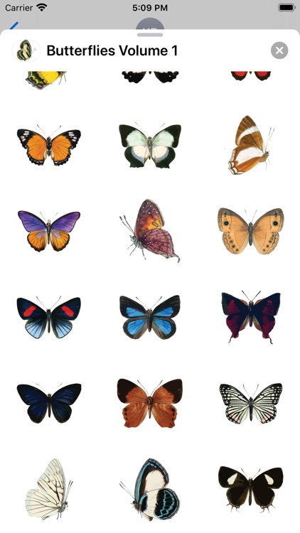 Butterflies Volume 1 screenshot-4