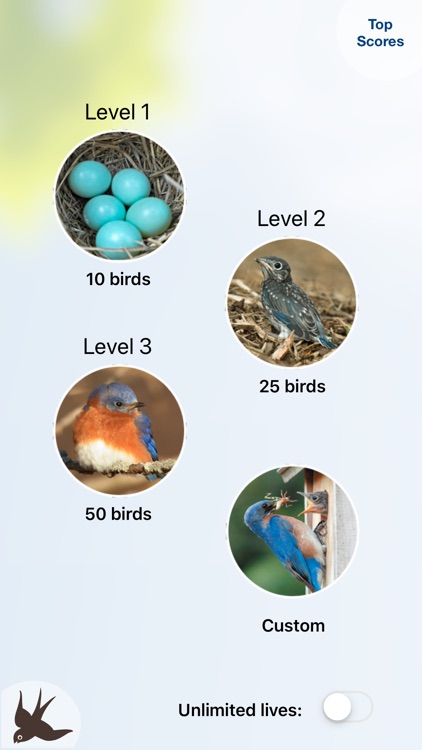 Chirp! Bird Songs & Calls USA screenshot-5