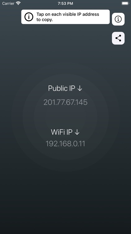 Find IP • Public & WiFi screenshot-0