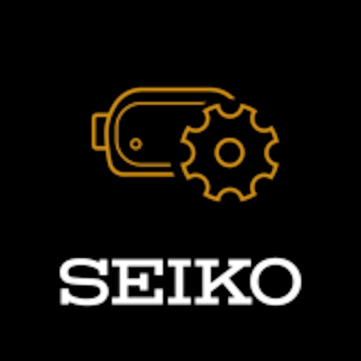 Seiko Vision Simulator Control