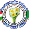 Kurdish Radio Ireland