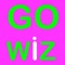 Service providers on The GoWiz App can be established companies, a group of friends or just you