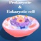 Welcome to a fascinating journey learning about prokaryotic eukaryotic cell