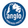 Anglo Ribeirão Online