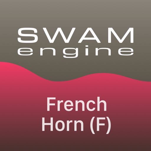 SWAM French Horn F