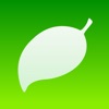 Coda by Panic (AppStore Link)