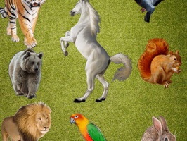 This animal emoji sticker app includes a lot of colorful real animal emoji art collections