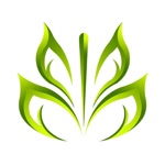 Acupuncture Allied Pad