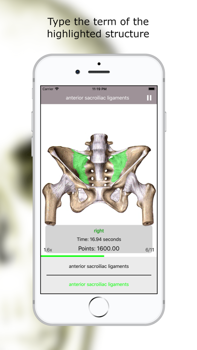 Anatomy Quiz Lite screenshot 3