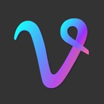 Video Pro - VideoPhoto Editor