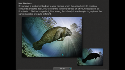 How to cancel & delete Silhouettes Underwater from iphone & ipad 4