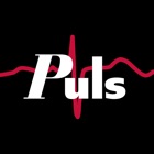 Puls Mobile Challenges