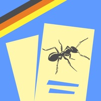 보고 듣고 배우는 독일어! 플래시카드