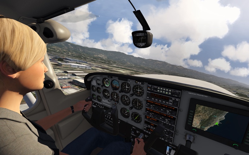 Aerofly FS 2 Flight Simulator