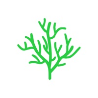 年轮3 - 艾宾浩斯高效规划记忆 pour PC