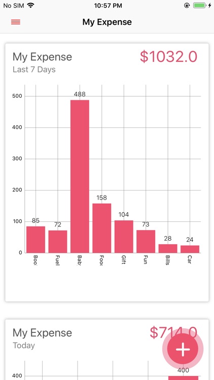 Daily Expense Record