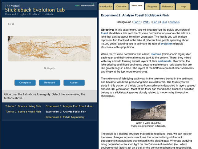 Stickleback Evolution Lab(圖3)-速報App