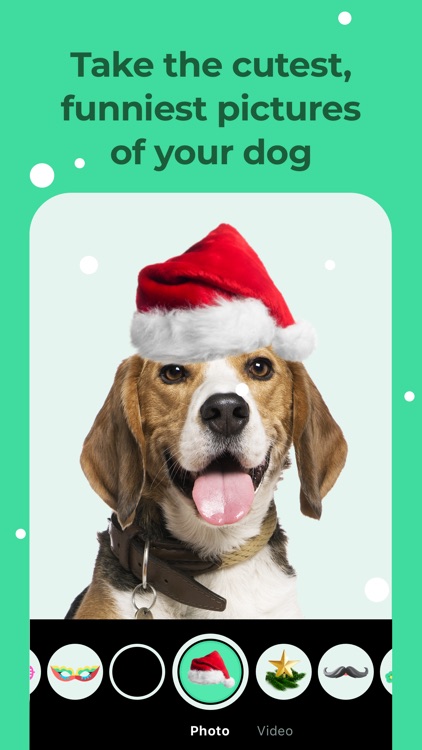 Dog Training & Clicker by Dogo screenshot-3
