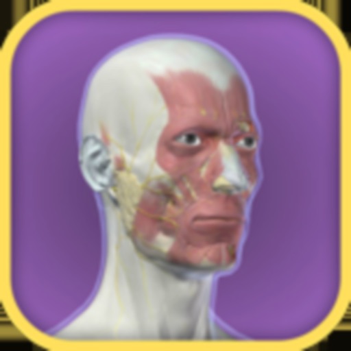 3D Facial Anatomy Tool icon