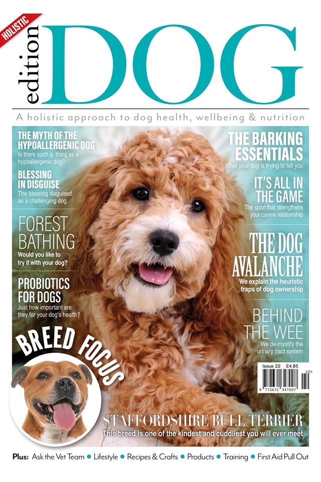 Edition Dog Magazine screenshot 4
