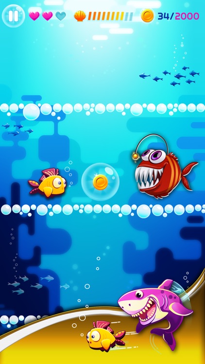 Bouncy Fish Adventures