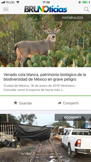 Brunoticias