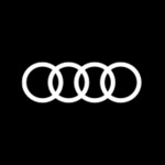 Audi Ekip