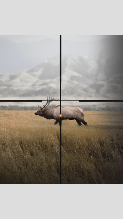 North American Elk screenshot 2
