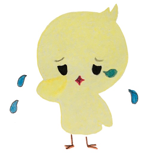 Joy and Sorrow of CHICK