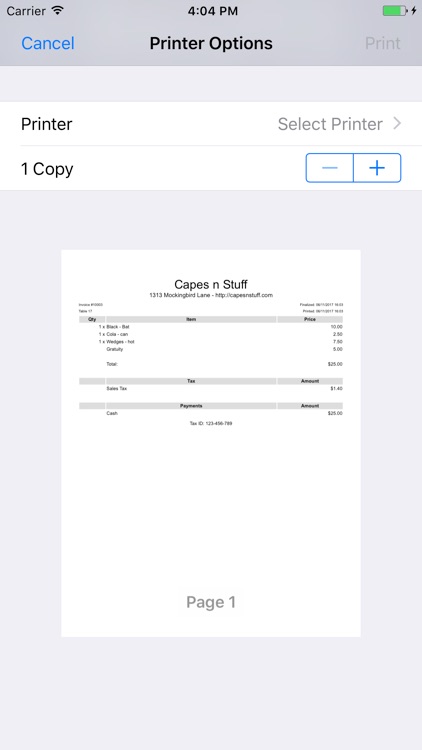 SkinnyPOS screenshot-4