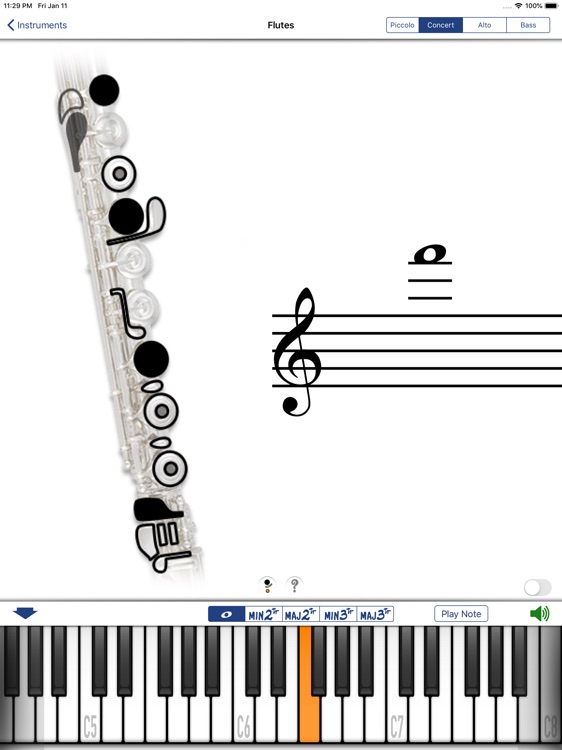 Fingering for iPad