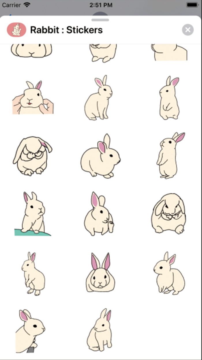 Rabbit  Stickers