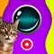 Icon Cat Translator Recorder