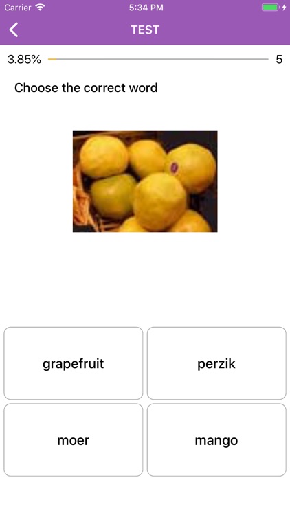 Beginner Dutch: Smart Choice screenshot-6