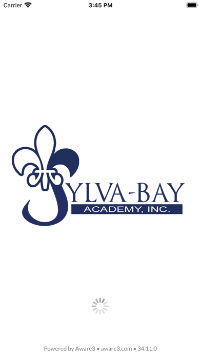 Sylva-Bay Academy screenshot 2