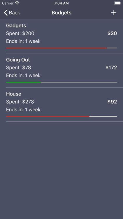 Debit & Credit screenshot-5