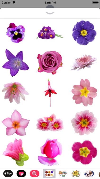 100+ Flower Stickers screenshot-3