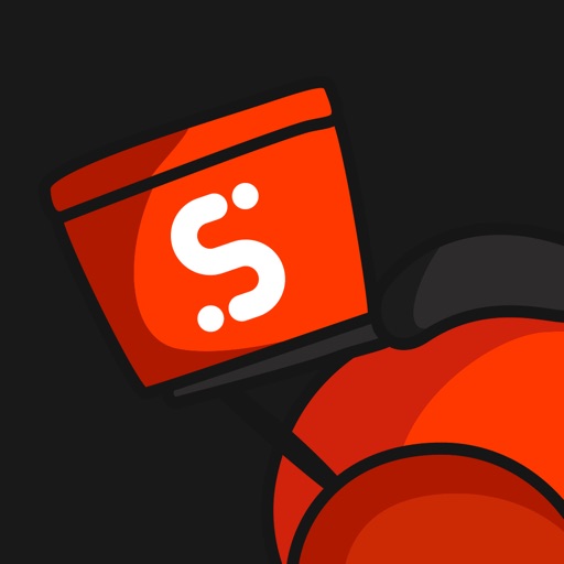 Saair Delivery Partner