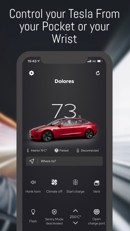 Companion for Tesla