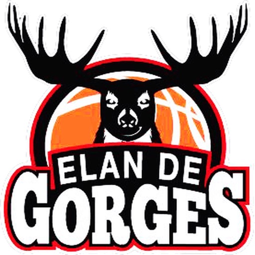 Elan De Gorges Basket-Ball