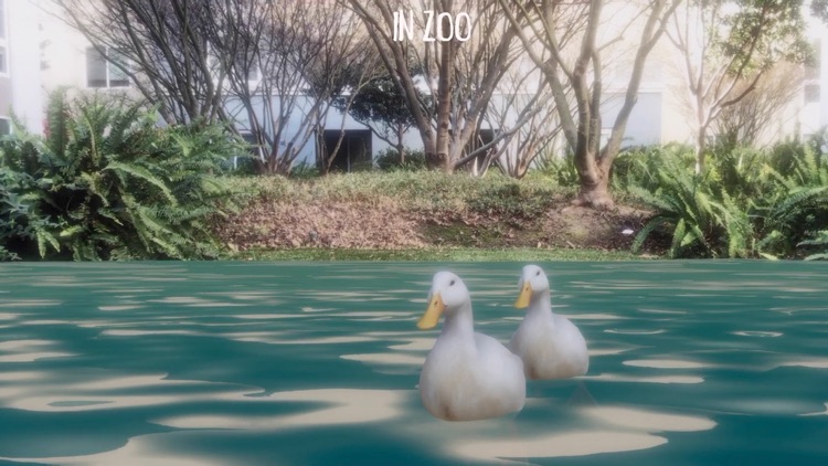 AR Petting Zoo screenshot-5