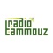 Radio Tammouz, is the first online radio station that streams from Lebanon