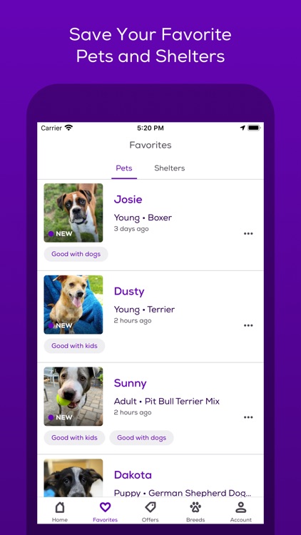 Petfinder Adoptable Pets screenshot-3