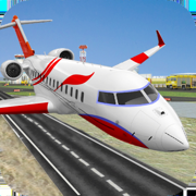 City Airplane Pilot Flight